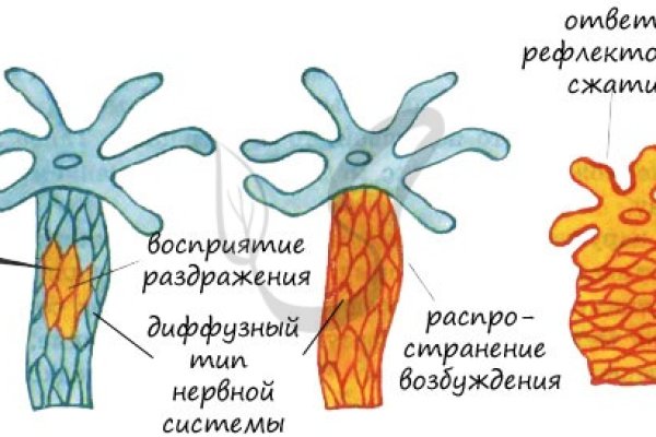 Кракен at