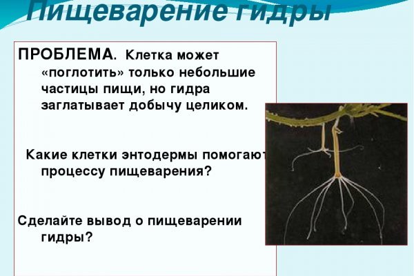 Что такое кракен тор