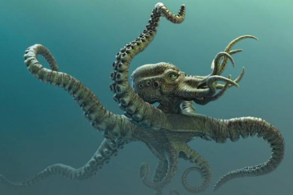 Kraken18 at