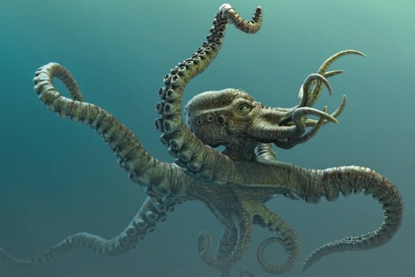 Kraken что это такое