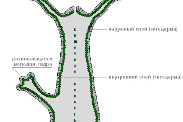 Ссылки на сайты в даркнете
