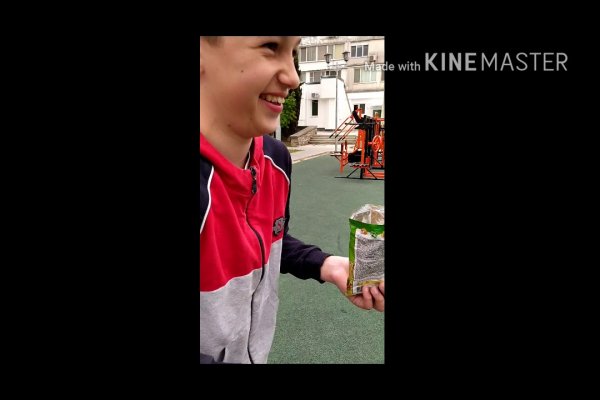 Kraken onion сайта