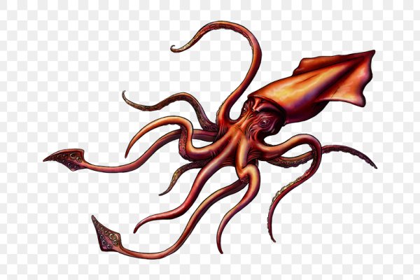 Kraken 5at