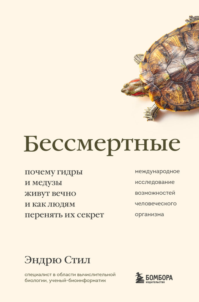 Кракен мага